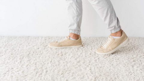 Carpet & Upholstery Cleaning