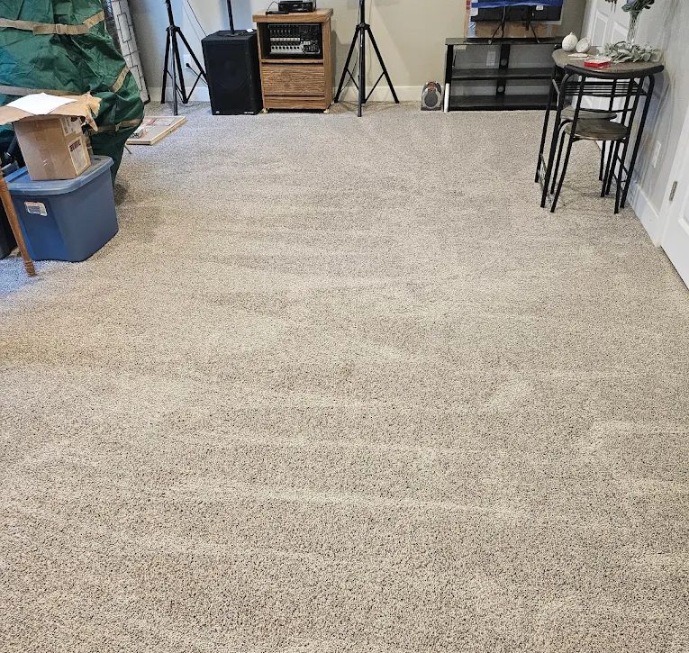 carpet cleaning service in ventura