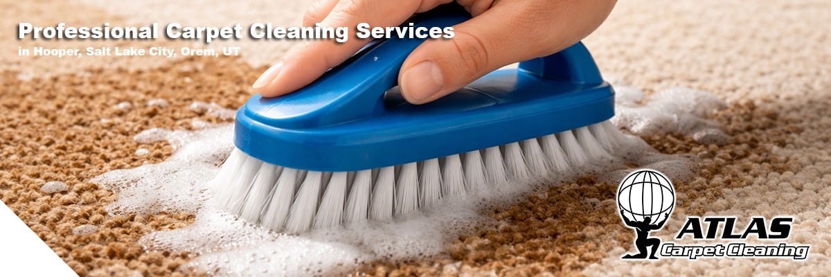 carpet cleaning service in ventura